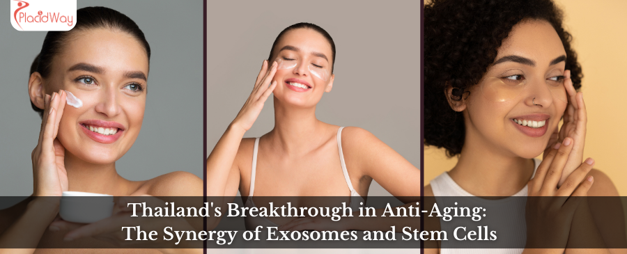 1734085725 Thailand Breakthrough In Anti Aging The Synergy Of Exosomes And Stem Cells Exosome and Stem Cell Therapy in Bangkok, Thailand