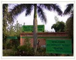 Naturopathy Resort