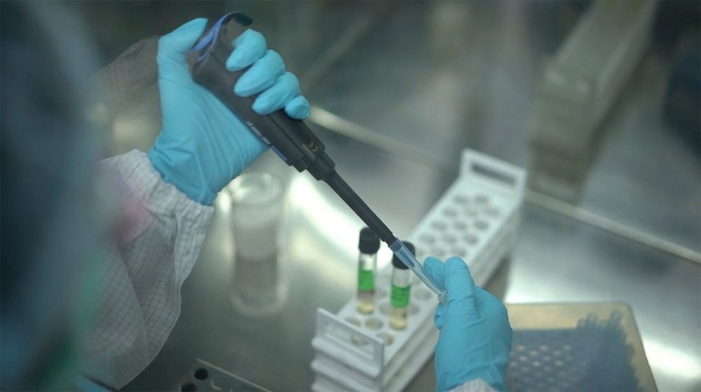 ReeLabs Stem Cells in Mumbai, India