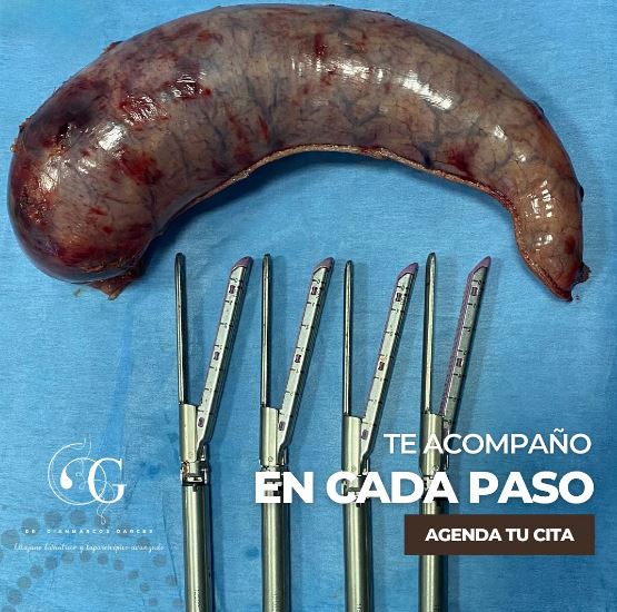 Dr. Gianmarcos Garces