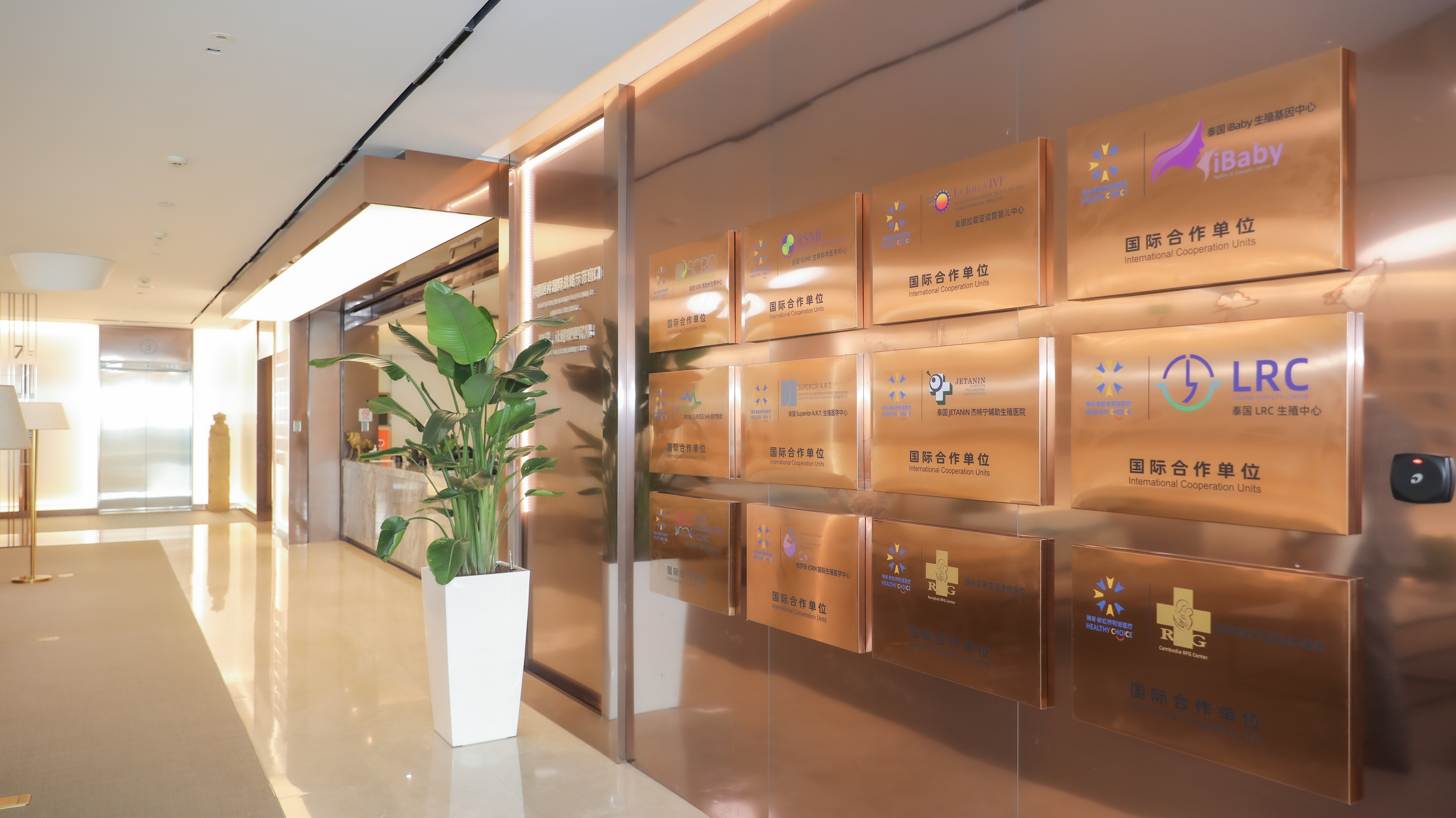 XinHongqiao Henuo Branch Wellness Clinic