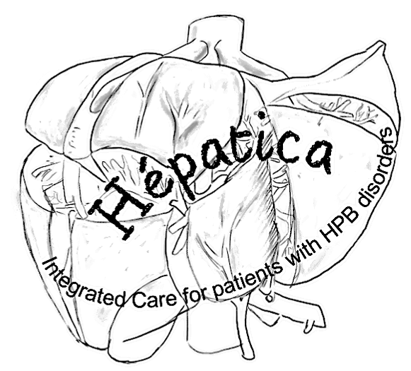 HEPATICA - The Home of Minimally Invasive Surgery Banner